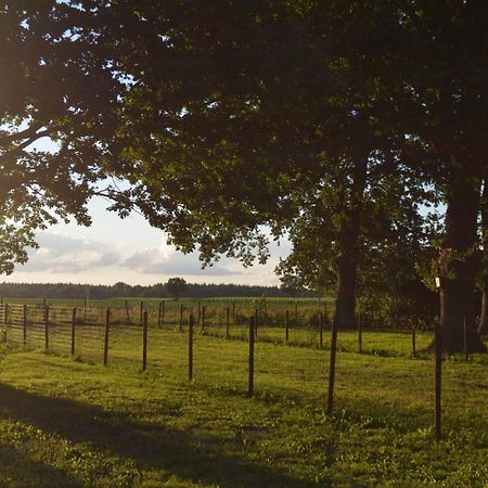 Ferienhaus Grafenland Dersum Bagian luar foto